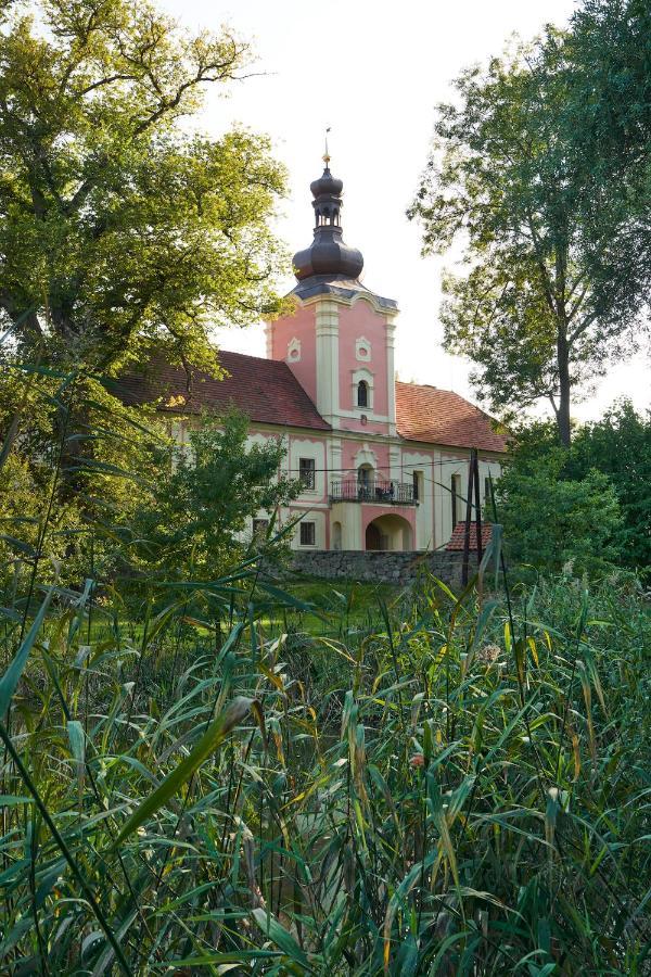 Zamek Lesany Netvořice